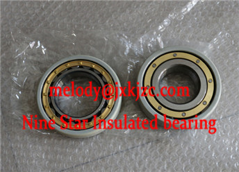 6413/C3VL0241 Insulated bearing