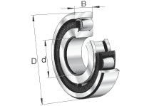 Barrel roller bearings 20204-TVP 20*47*14mm
