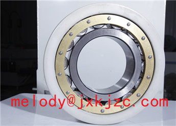 NU340ECM/C3VL0241 insulated bearing