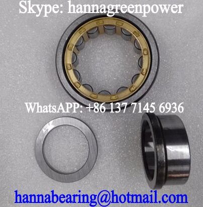 125RIT551 Single Row Cylindrical Roller Bearing 317.5x482.6x66.67mm
