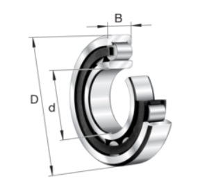 NU204E.TVP2.C3 Single row cylindrical roller bearings with plastic cage