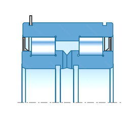 Bearing SL11-924