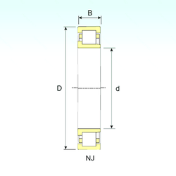 Bearing NJ 304