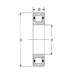 Bearing NJ 304