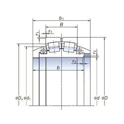 Bearing SL1120-3